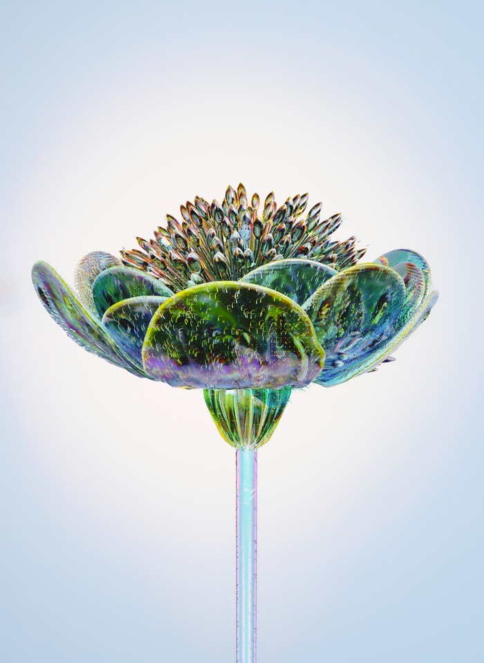 wedding-photography-03 A stunning 3D glass-effect flower highlighting technology and abstract design.